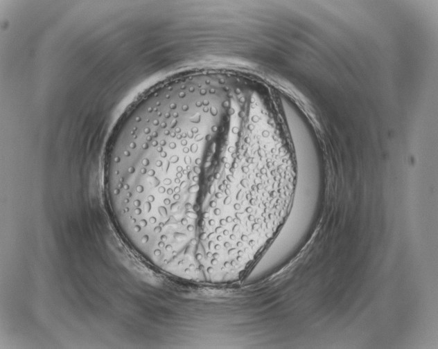 X0000086091280200704202207