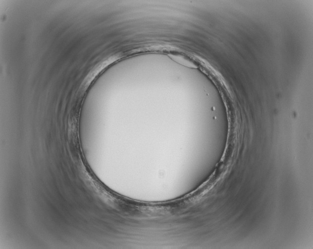 X0000086091281200704202207