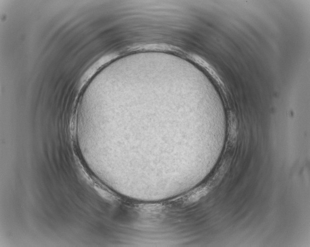 X0000086091282200704202207