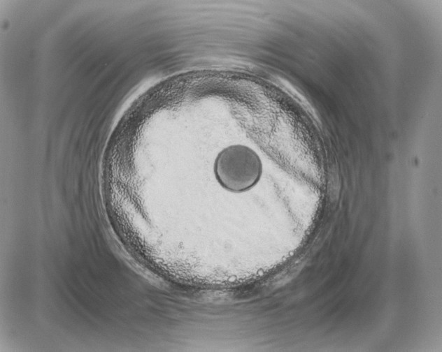 X0000086091283200704202207