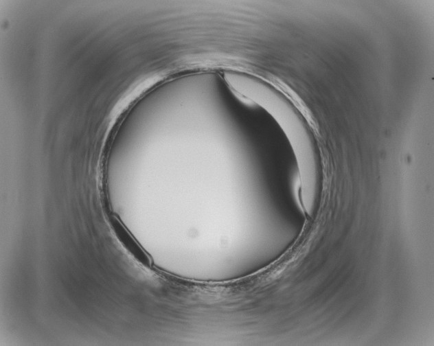 X0000086091285200704202207