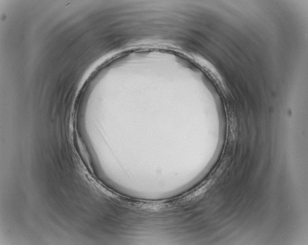 X0000086091288200704202207