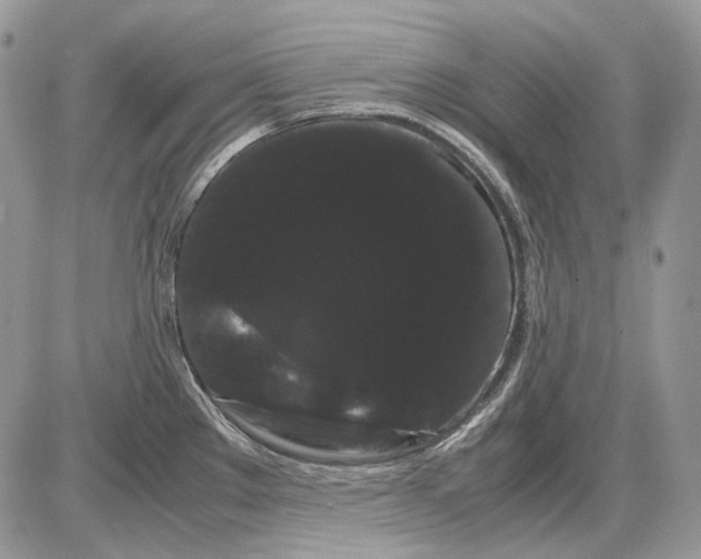 X0000086091289200704202207