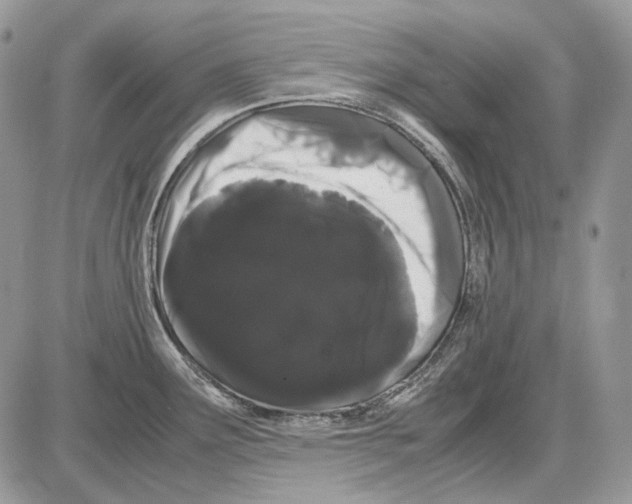 X0000086091291200704202207