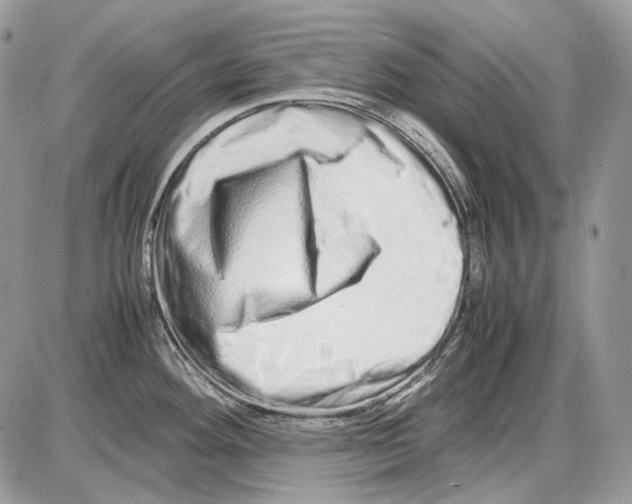 X0000086091292200704202207