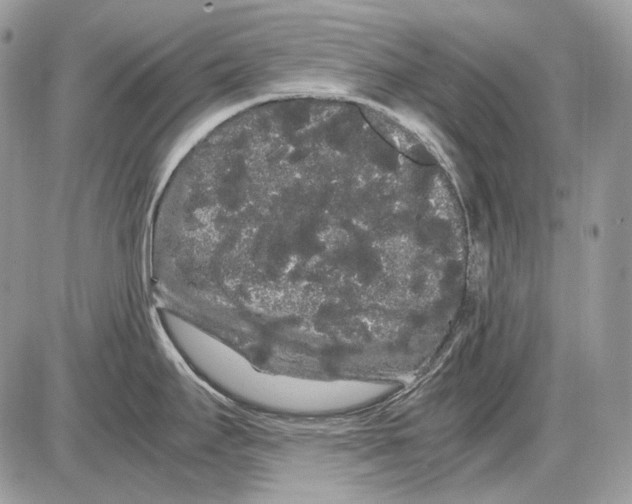 X0000086091295200704202207