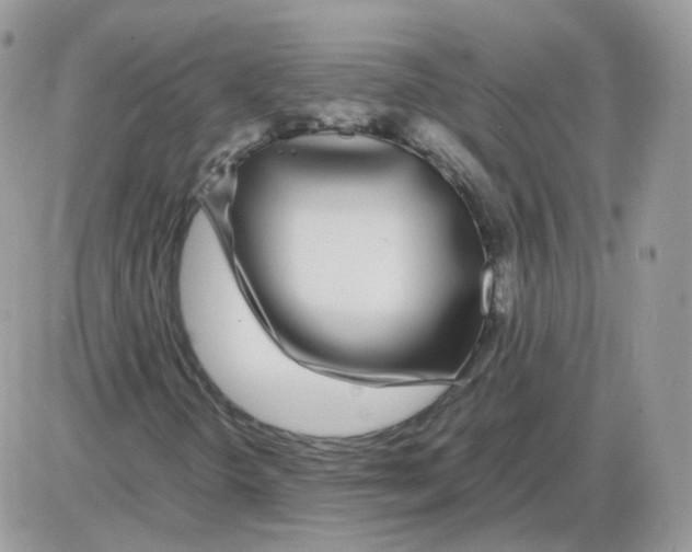 X0000086091298200704202206