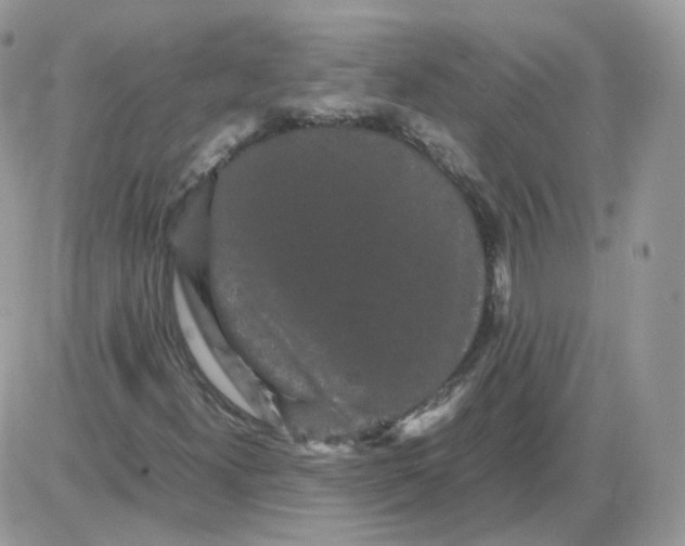 X0000086091300200704202206