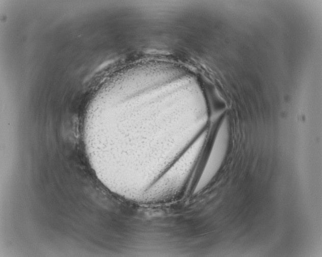 X0000086091301200704202206