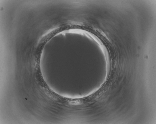 X0000086091303200704202206