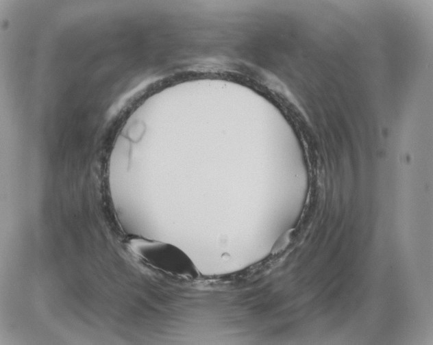 X0000086091304200704202206