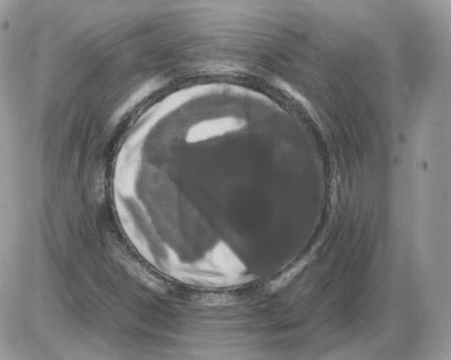 X0000086091306200704202206