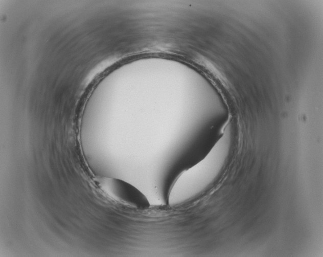 X0000086091308200704202206