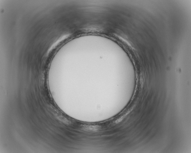 X0000086091309200704202206