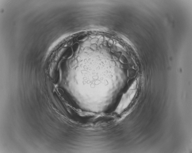 X0000086091310200704202206