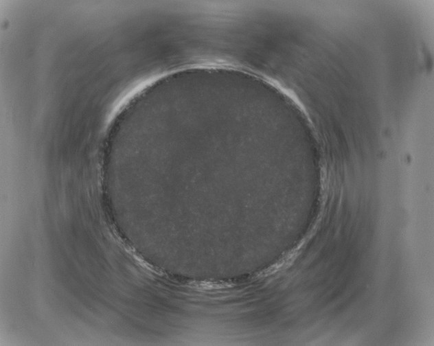 X0000086091311200704202206