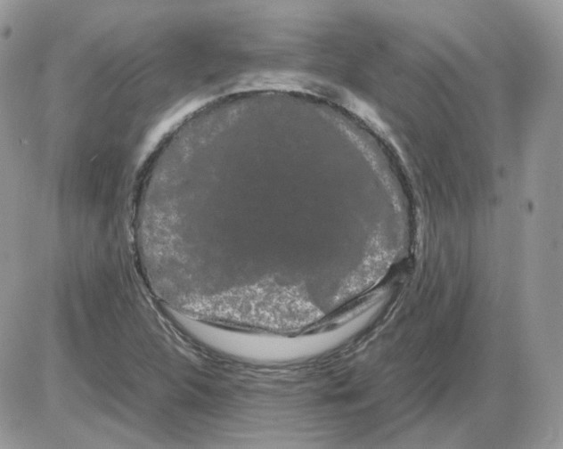 X0000086091312200704202206