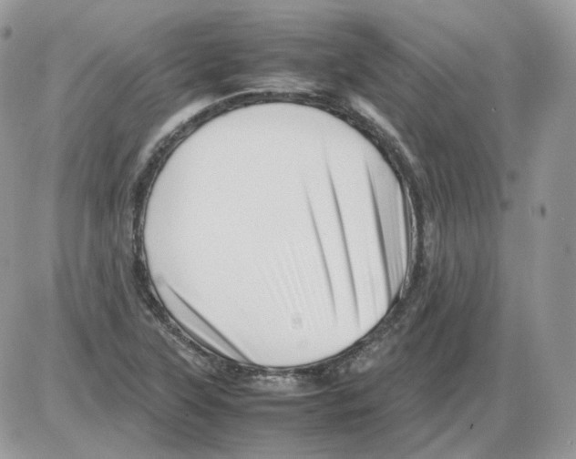 X0000086091315200704202206