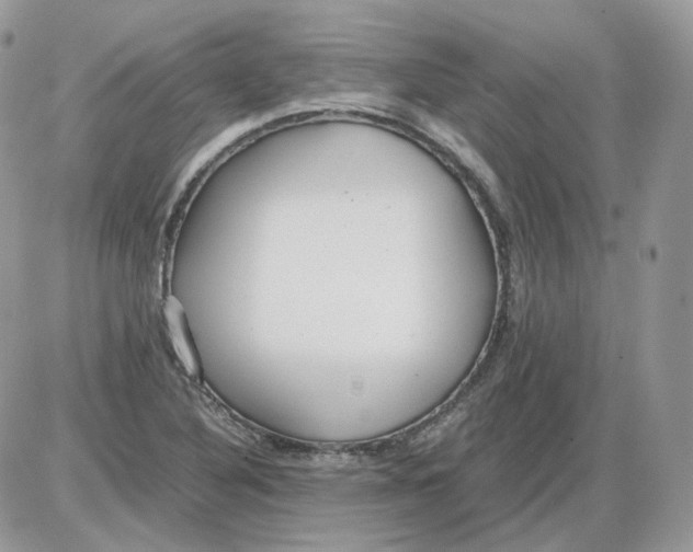 X0000086091316200704202206