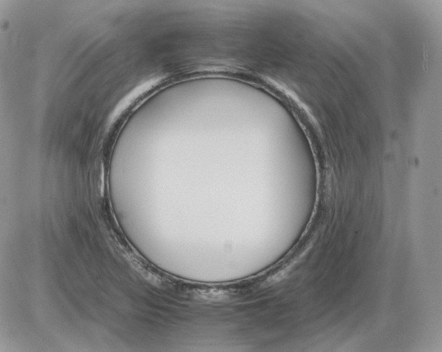 X0000086091317200704202206