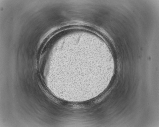 X0000086091318200704202206