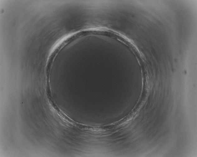 X0000086091319200704202206