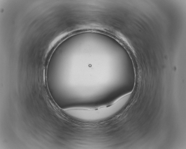 X0000086091320200704202206