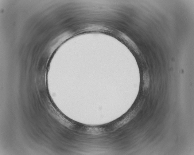 X0000086091322200704202206