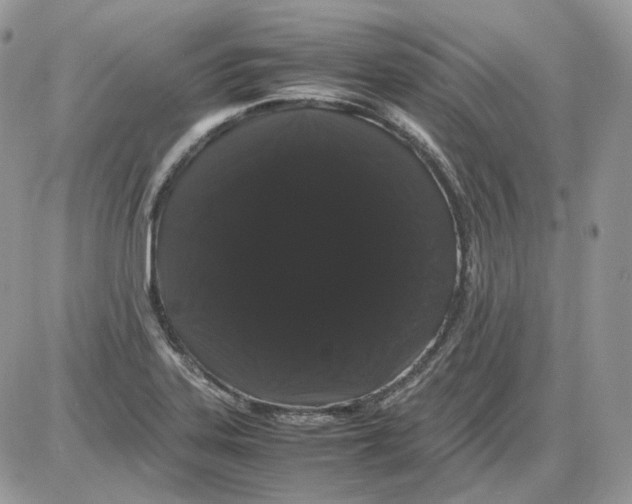 X0000086091323200704202206