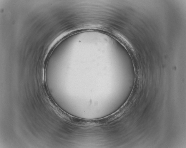 X0000086091324200704202206