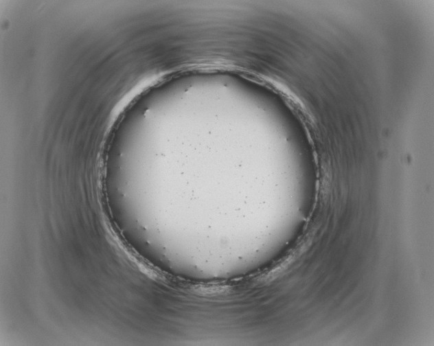 X0000086091325200704202206