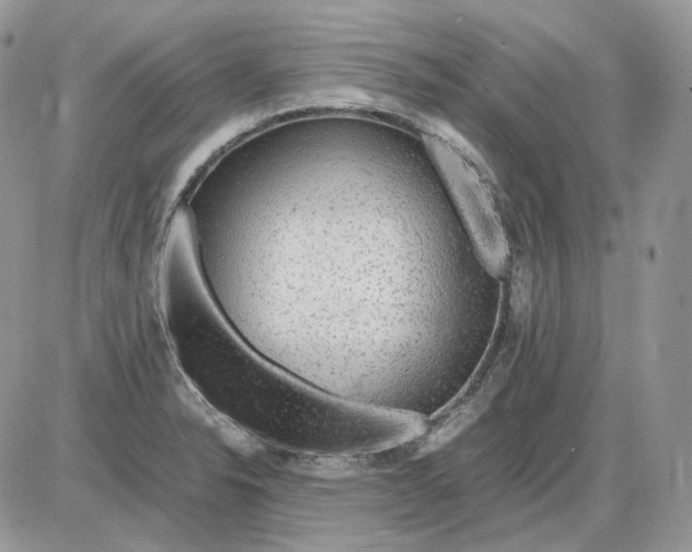 X0000086091326200704202206