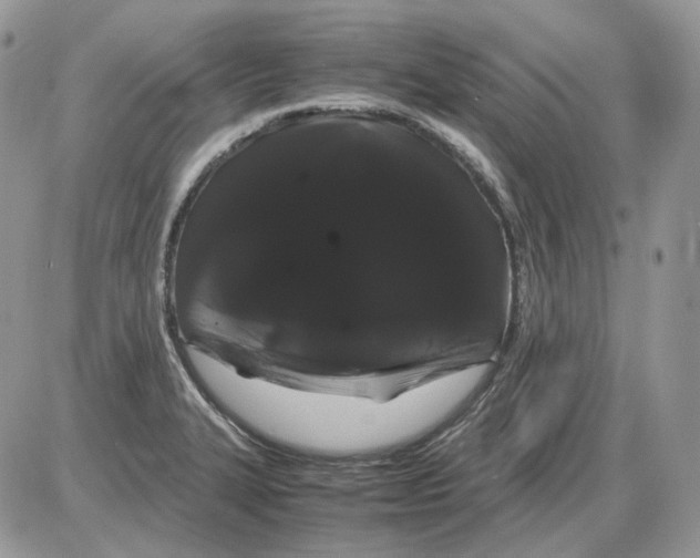 X0000086091327200704202206