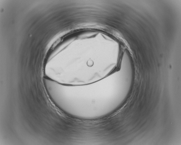 X0000086091328200704202206