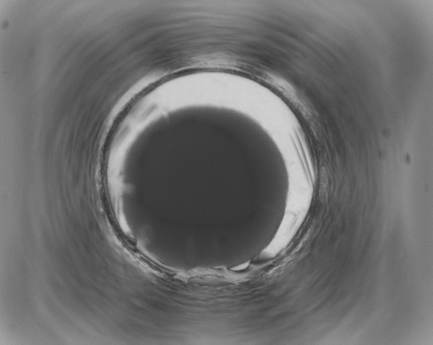 X0000086091331200704202206