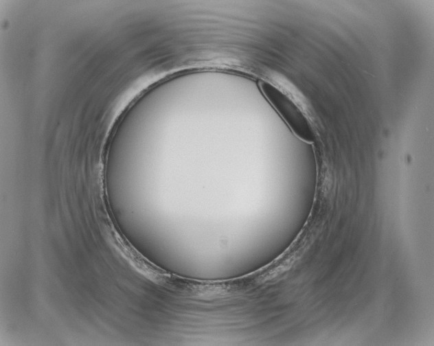 X0000086091332200704202206