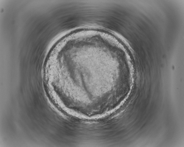 X0000086091335200704202206