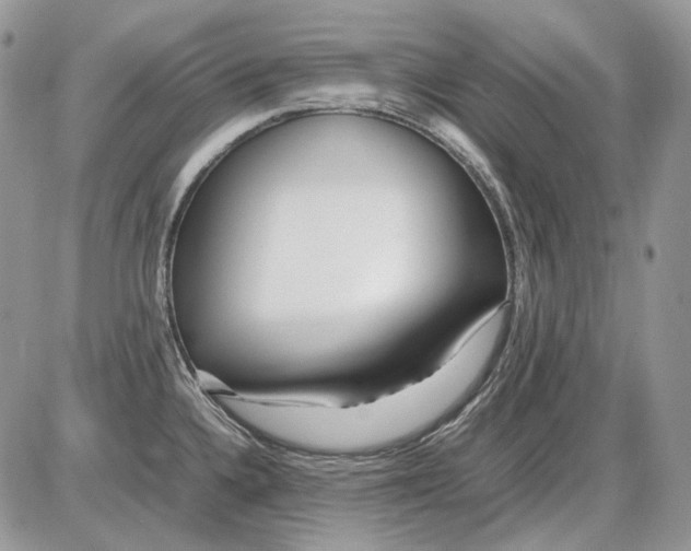 X0000086091336200704202206