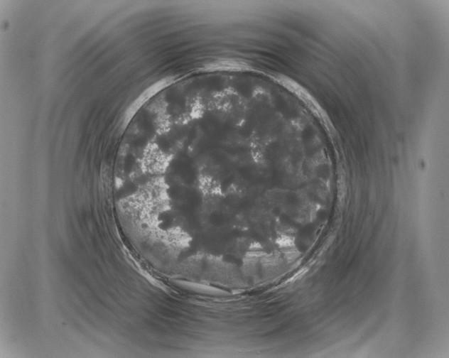 X0000086091337200704202206