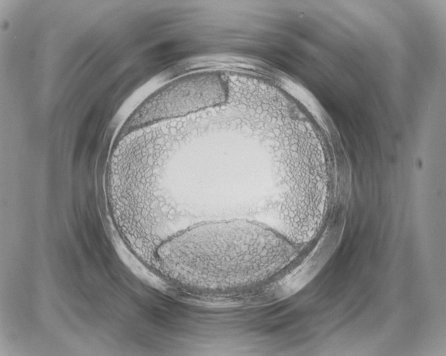 X0000086091338200704202206