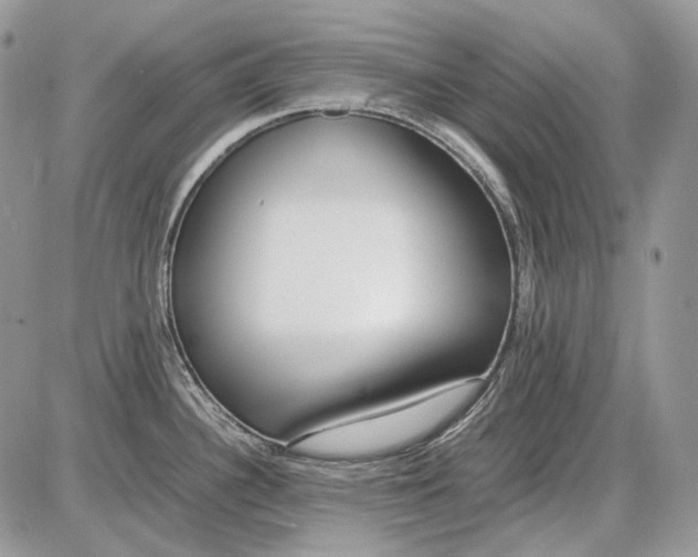 X0000086091340200704202207