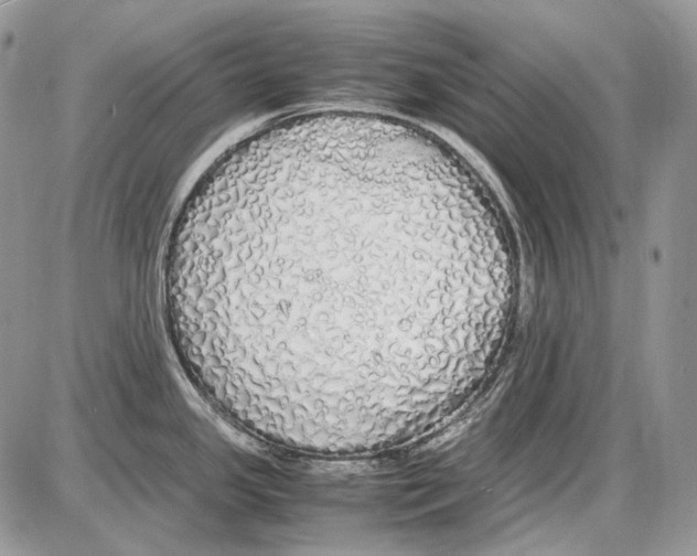 X0000086091341200704202207