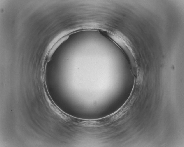 X0000086091342200704202207