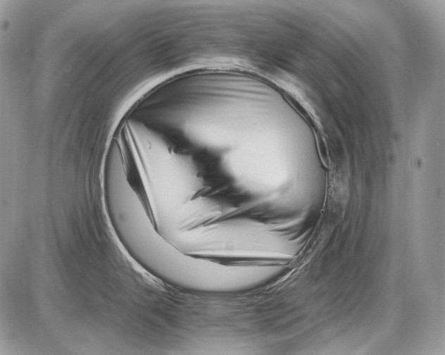 X0000086091343200704202207