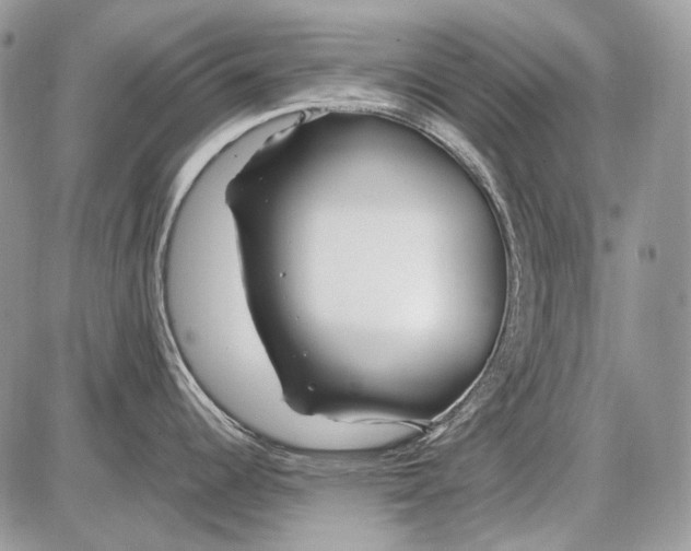 X0000086091344200704202207