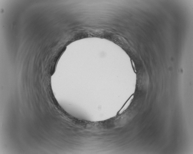 X0000086091345200704202206