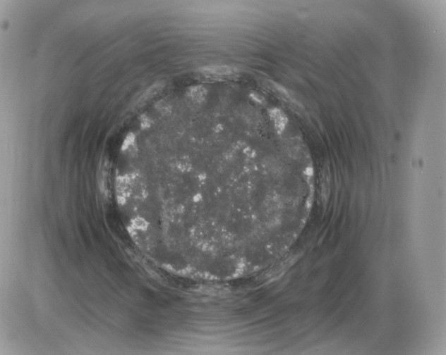 X0000086091346200704202206