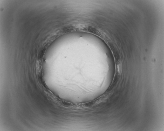 X0000086091347200704202206