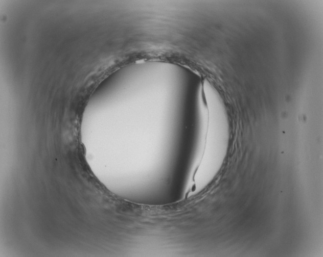 X0000086091349200704202206