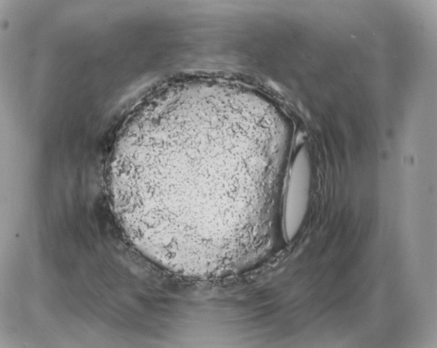 X0000086091350200704202206